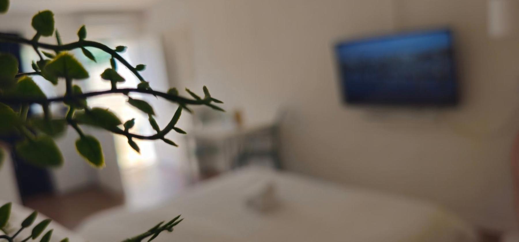 Apartamento Kadenca Umag Habitación foto